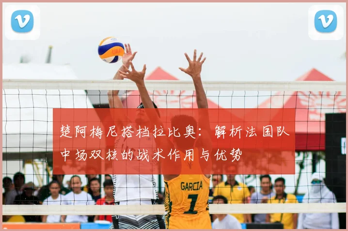 楚阿梅尼搭档拉比奥：解析法国队中场双核的战术作用与优势