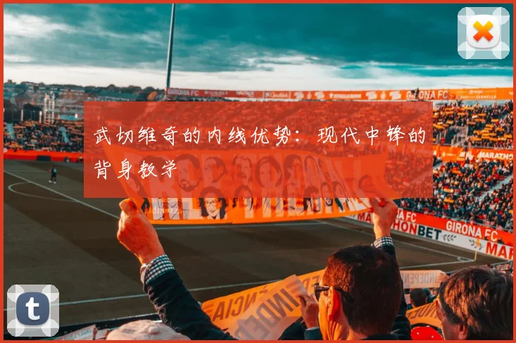 武切维奇的内线优势:现代中锋的背身教学