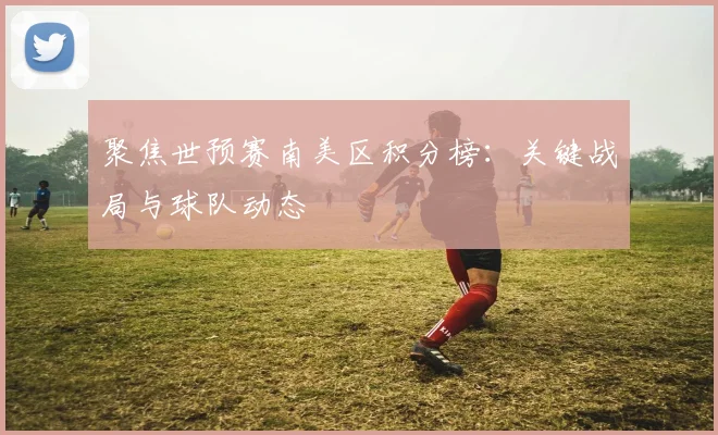 聚焦世预赛南美区积分榜：关键战局与球队动态